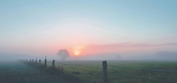 Change is growth, promising like the break of dawn shown in this image