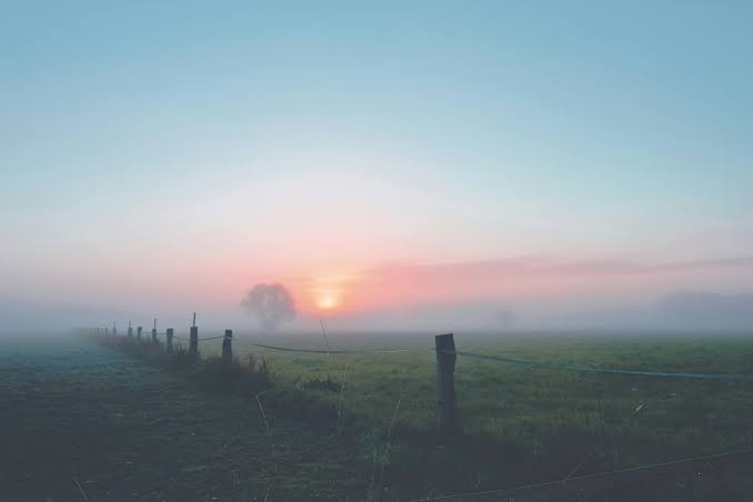 Change is growth, promising like the break of dawn shown in this image